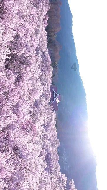 逃离石墙屋